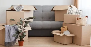 Comment sélectionner les cartonsadaptés à votre demenagement?